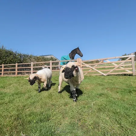 Stags Mount Casa vacanze Pickering