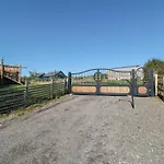 Stags Mount